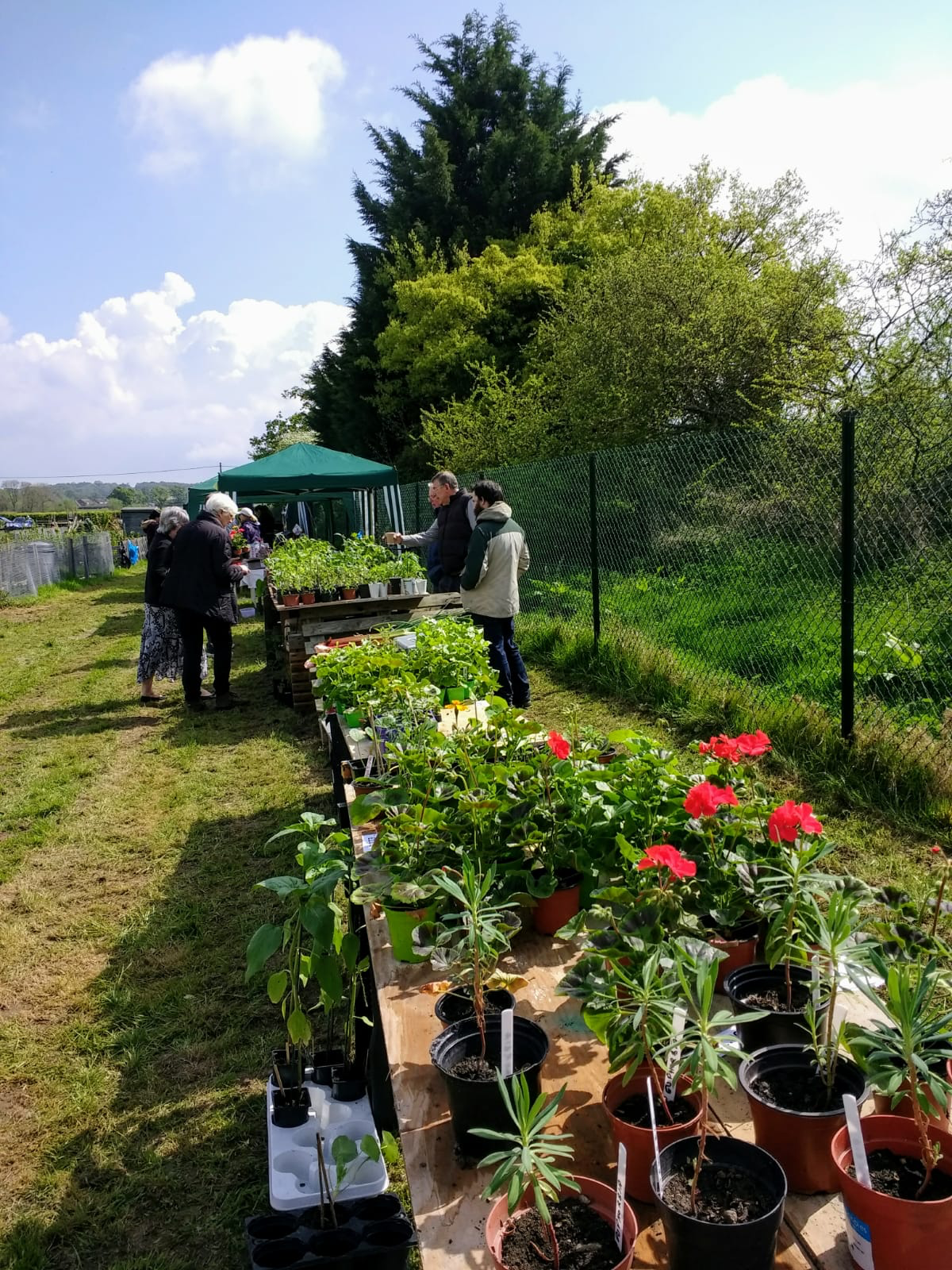SPAA Open Day 2019 shows the allotments bursting with fruit & veg