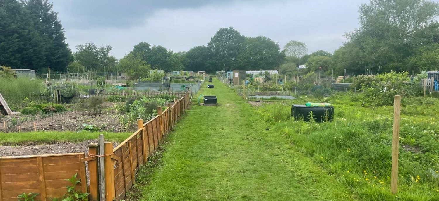 Swallowfield Parish Allotment Association